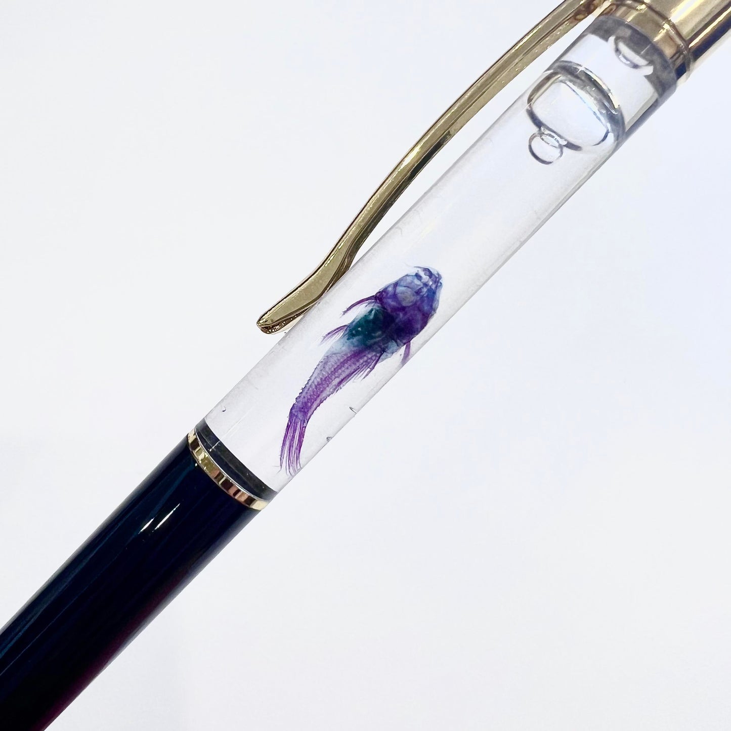 KAIRU ECO-ART STUDIO Diaphonization Specimen Pen Special Gift for Teen Animal Lover(Armored Catfish)(海外販售限定)