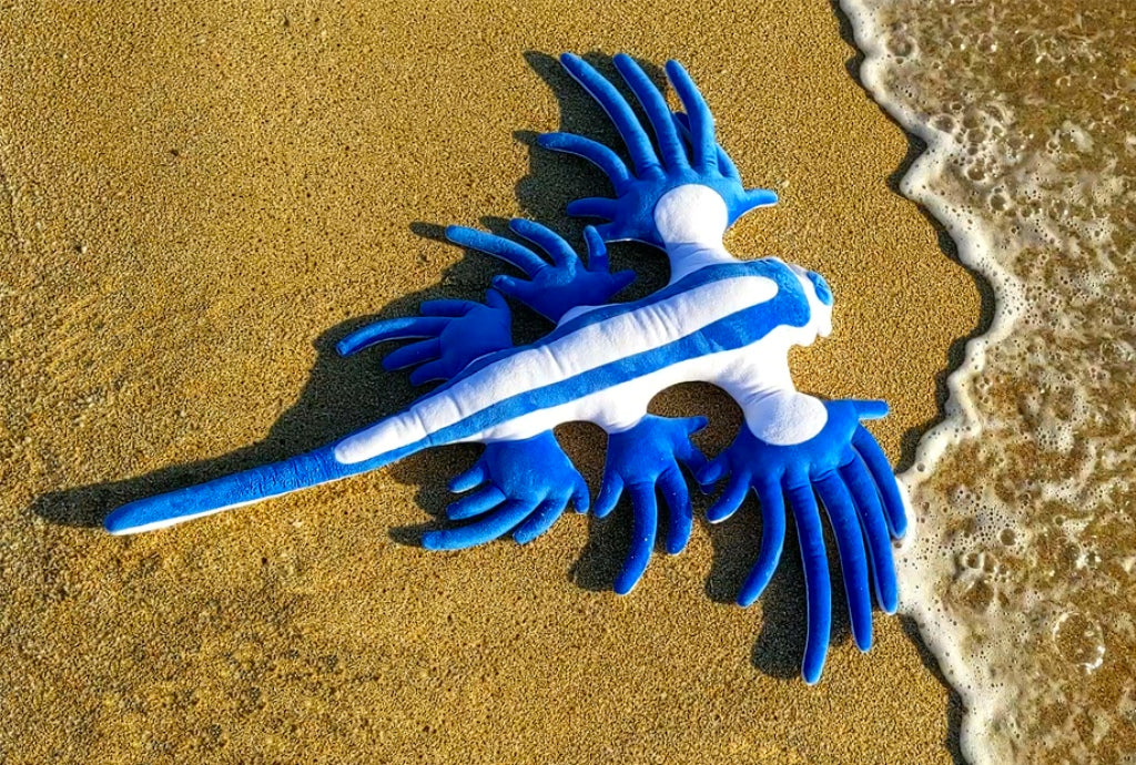 Stuff Toy│Giant Atlantic Poseidon sea slug/Glaucus atlanticus