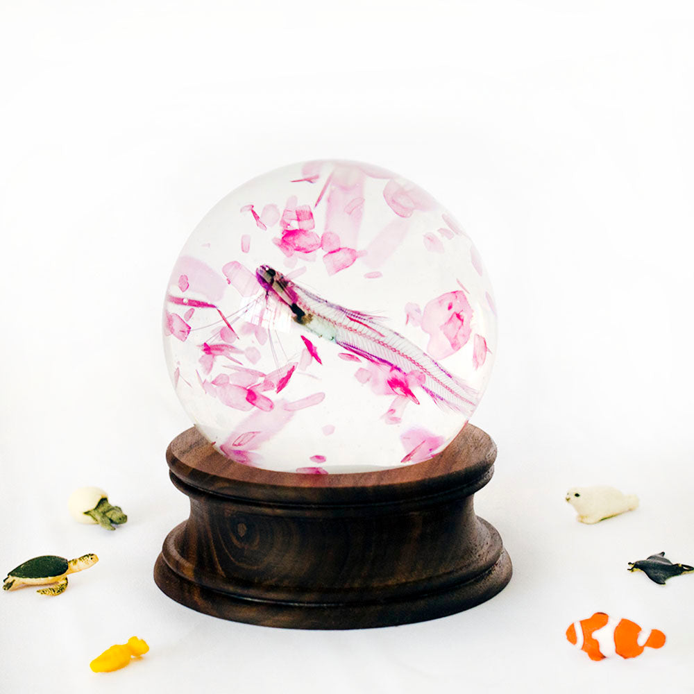 Transparent specimen fish scales and snowflake crystal ball, a total of 2 types of fish specimens Christmas gifts