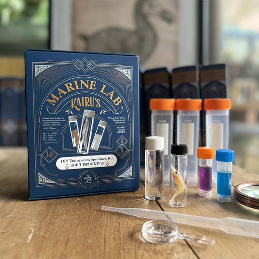 DIY handmade transparent specimen production set gift box Kairu Marine Lab, a total of four types