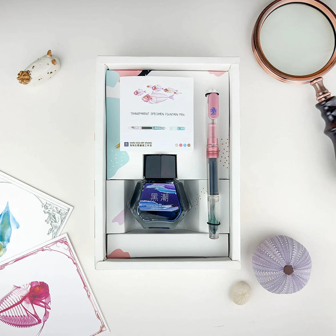 Transparent specimen pen + ink gift box, seahorse pens