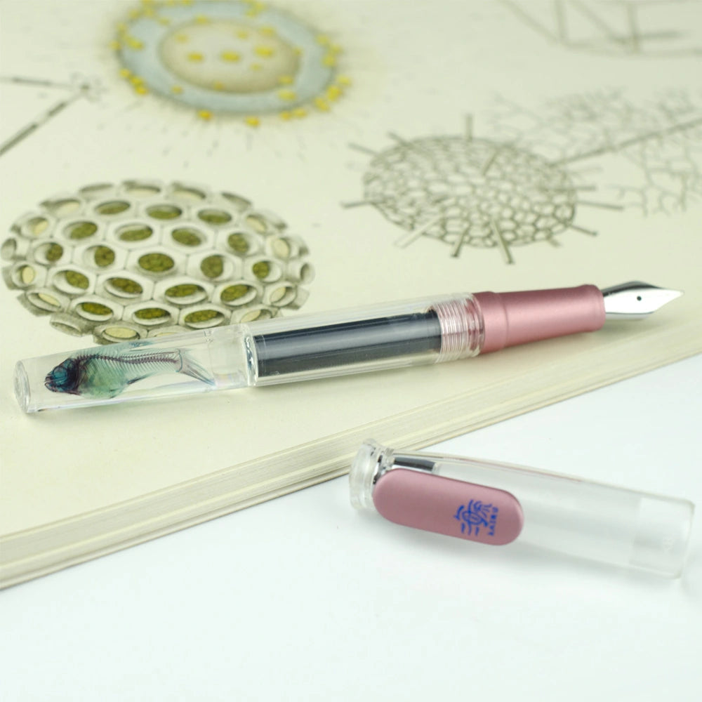 Transparent specimen pen + ink gift box, a total of four colors of mosquito fish pens